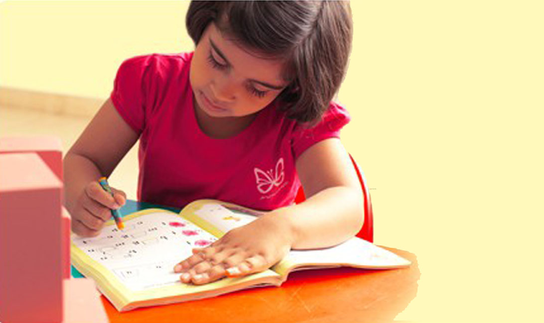 Education Background